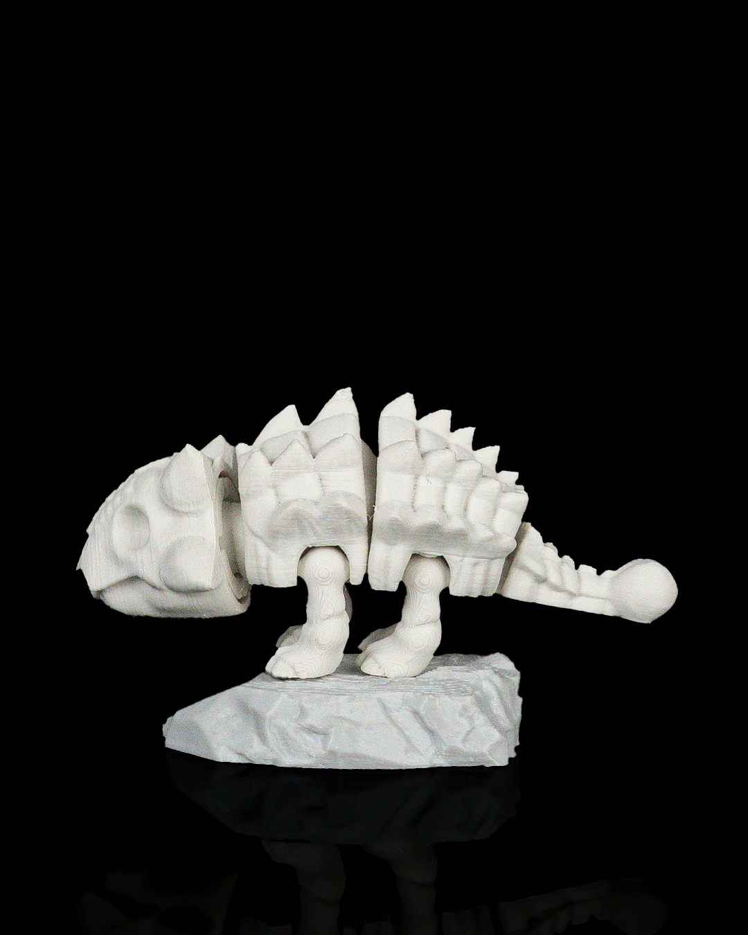 Foto da galeria do produto Bone Shell 3D Colecionável
