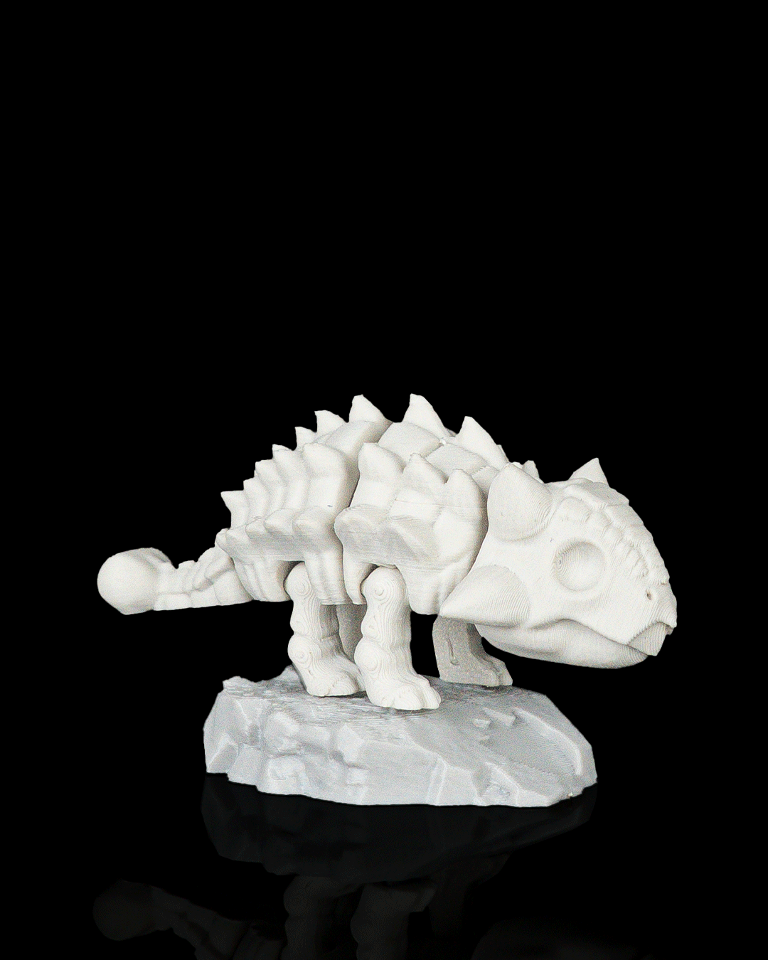 Foto da galeria do produto Bone Shell 3D Colecionável